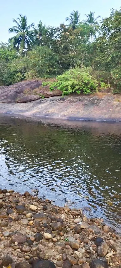 Ponmudi Dale. Homestay Kallar  India