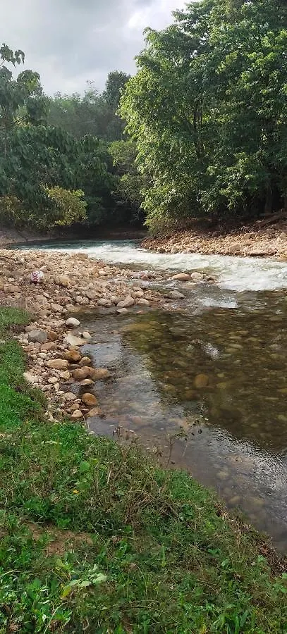 Ponmudi Dale. Homestay Kallar  Kallar (Trivandrum)