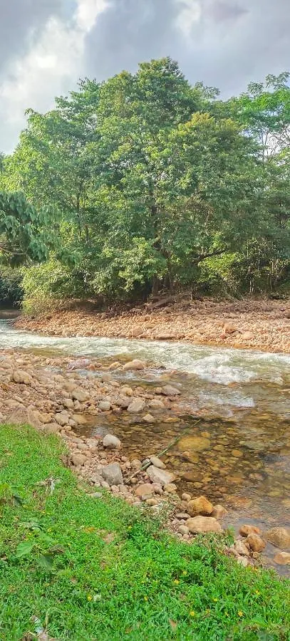 Ponmudi Dale. Homestay Kallar