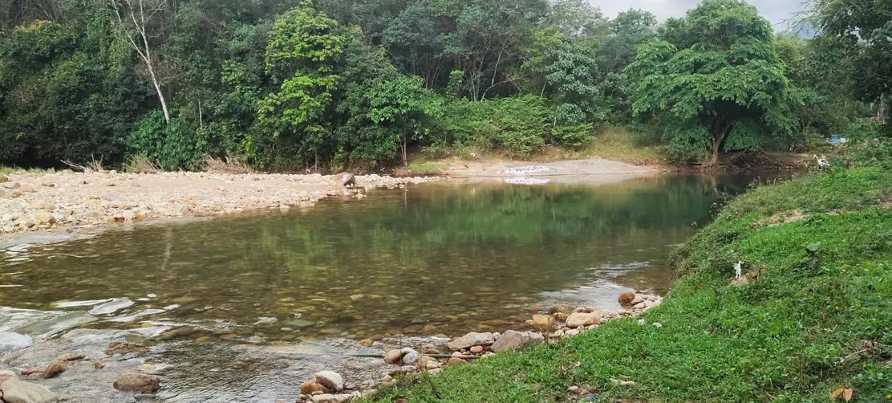 Ponmudi Dale. Homestay Kallar  India