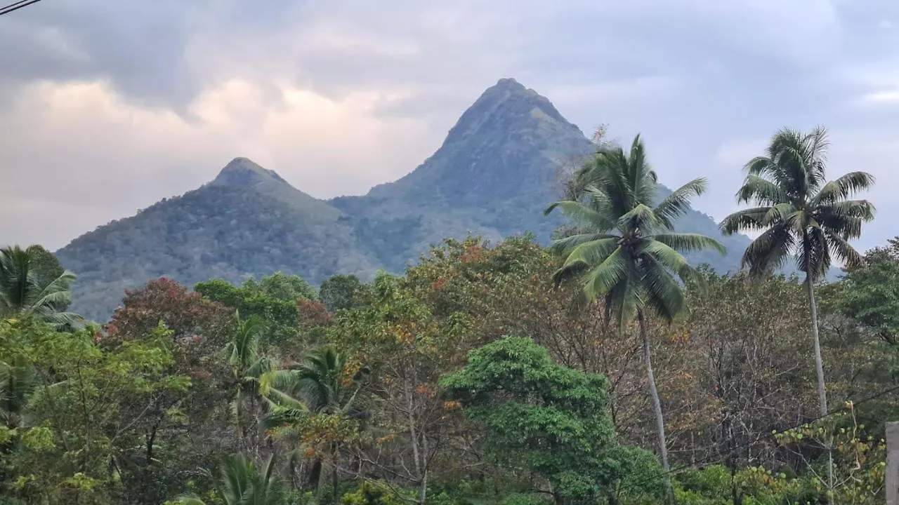 Ponmudi Dale. Homestay Kallar  0*, Kallar (Trivandrum)