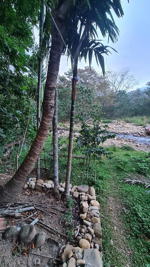 Ponmudi Dale. Homestay Kallar