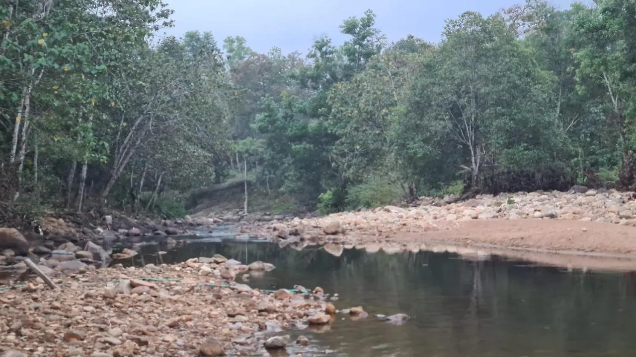Ponmudi Dale. Homestay Kallar