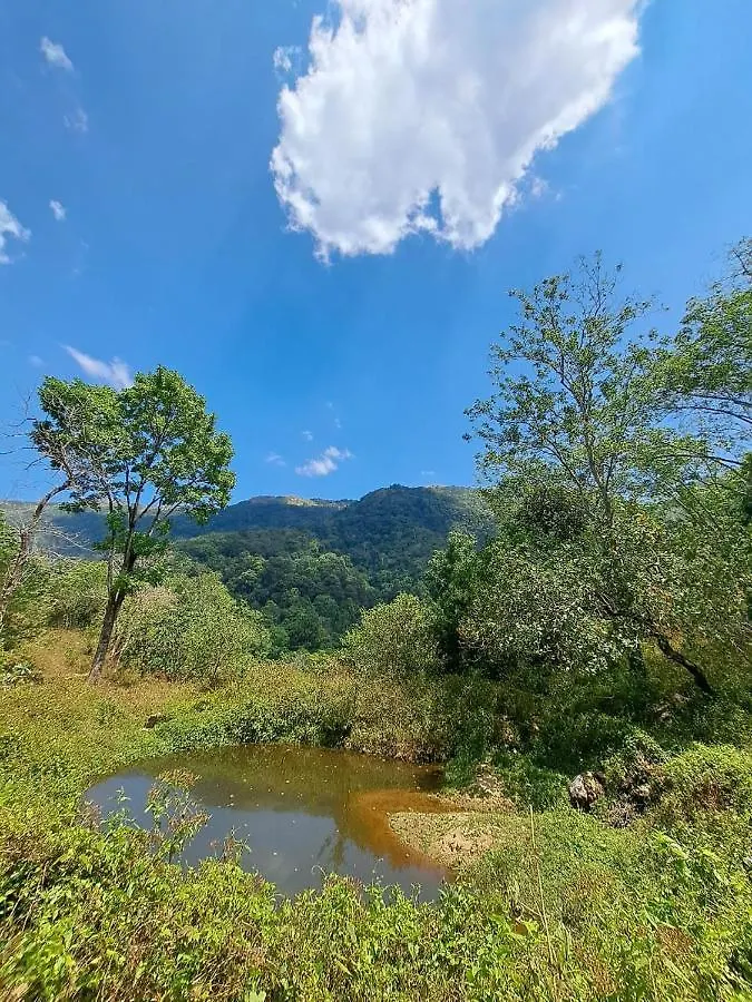 Ponmudi Dale. Homestay Kallar