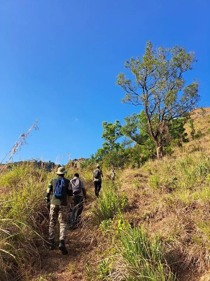 Ponmudi Dale. Homestay Kallar  0*, Kallar (Trivandrum) India