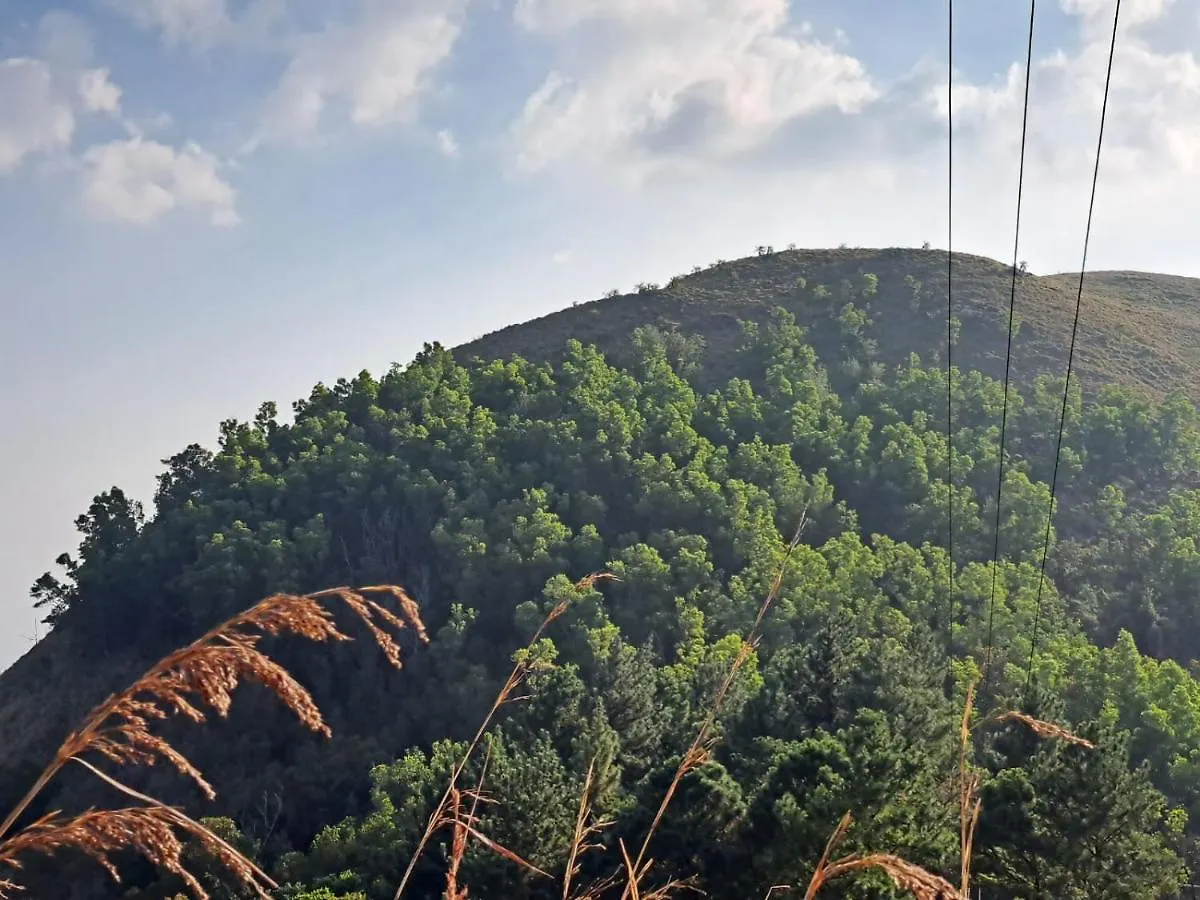 Ponmudi Dale. Homestay Kallar