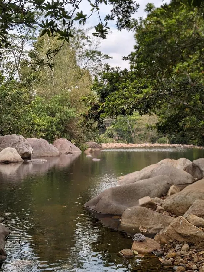 Ponmudi Dale. Homestay Kallar  India